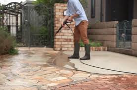 شركة تنظيف احواش في ابوظبي