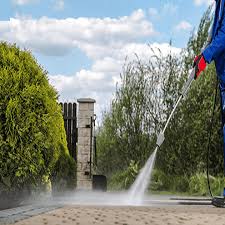 شركة تنظيف احواش في العين