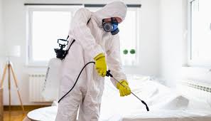 شركة مكافحة الحشرات في ام القيوين