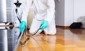 شركة مكافحة الحشرات في الفجيره